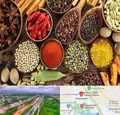 مرکز طب اسلامی در قصرالدشت شیراز 