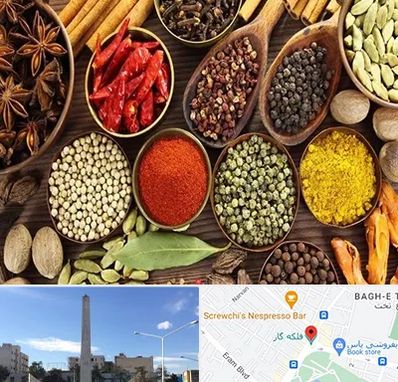 مرکز طب اسلامی در فلکه گاز شیراز 