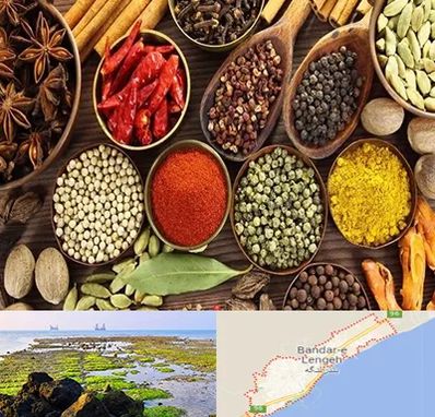 مرکز طب اسلامی در بندرلنگه