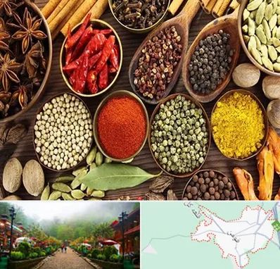 مرکز طب اسلامی در فومن