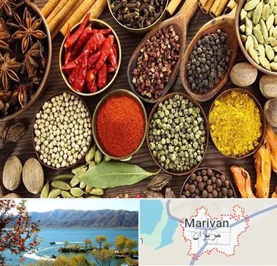 مرکز طب اسلامی در مریوان