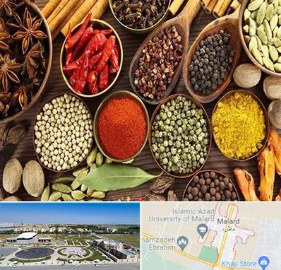 مرکز طب اسلامی در ملارد