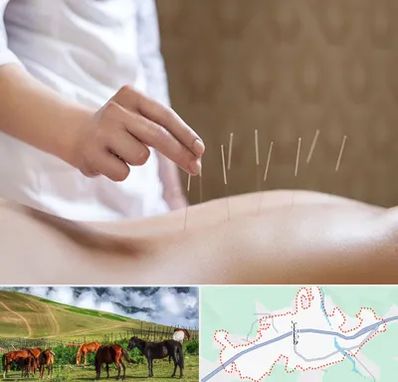 درای نیدلینگ در تالش