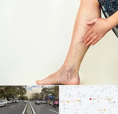 دکتر واریس در دولت 