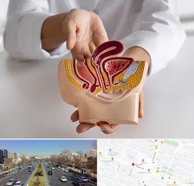 دکتر دستگاه تناسلی مردان در بلوار معلم مشهد 