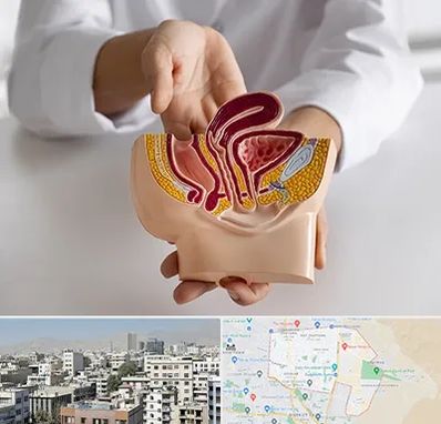 دکتر دستگاه تناسلی مردان در منطقه 14 تهران