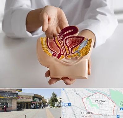 دکتر دستگاه تناسلی مردان در پرواز تبریز