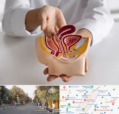 دکتر دستگاه تناسلی مردان در شریعتی 