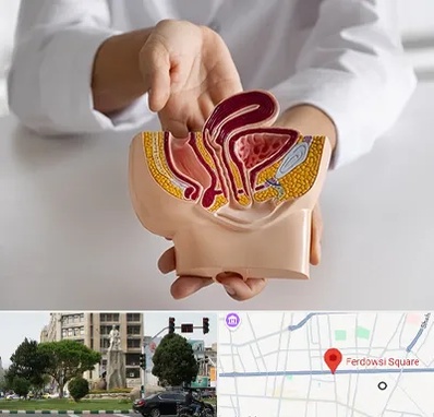 دکتر دستگاه تناسلی مردان در میدان فردوسی تهران