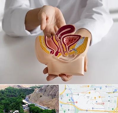 دکتر دستگاه تناسلی مردان در کن