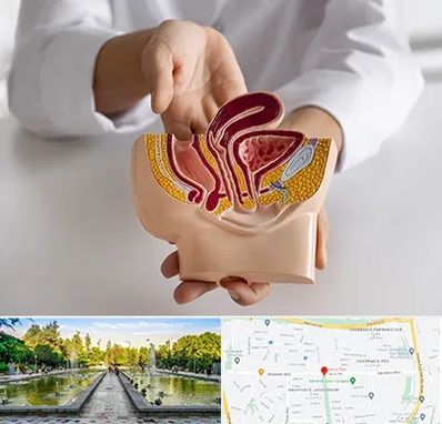 دکتر دستگاه تناسلی مردان در سرسبز 