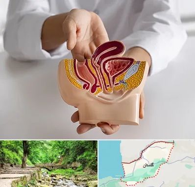 دکتر دستگاه تناسلی مردان در گلستان