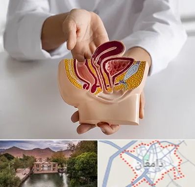 دکتر دستگاه تناسلی مردان در دامغان