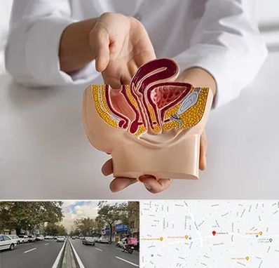 دکتر دستگاه تناسلی مردان در دولت 