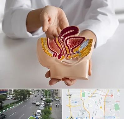 دکتر دستگاه تناسلی مردان در ستارخان 