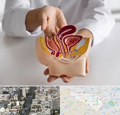 دکتر دستگاه تناسلی مردان در منطقه 18 تهران