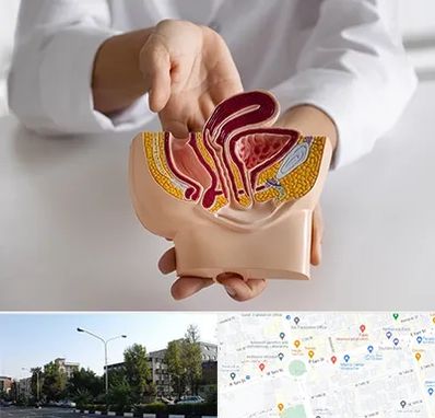 دکتر دستگاه تناسلی مردان در میدان کاج 