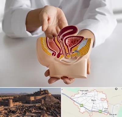 دکتر دستگاه تناسلی مردان در بم