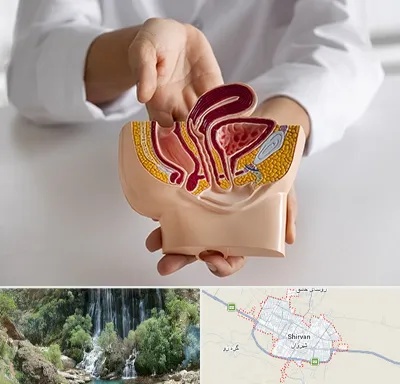 دکتر دستگاه تناسلی مردان در شیروان