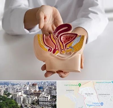 دکتر دستگاه تناسلی مردان در ولنجک