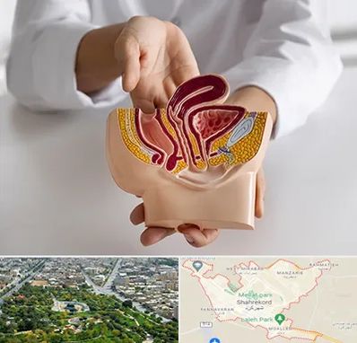 دکتر دستگاه تناسلی مردان در شهرکرد