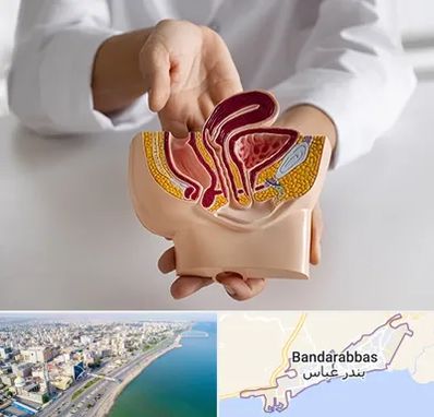 دکتر دستگاه تناسلی مردان در بندرعباس