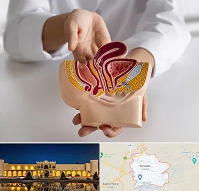 دکتر دستگاه تناسلی مردان در برازجان