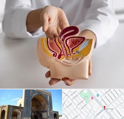 دکتر دستگاه تناسلی مردان در مصلی مشهد