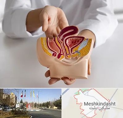 دکتر دستگاه تناسلی مردان در مشکین دشت