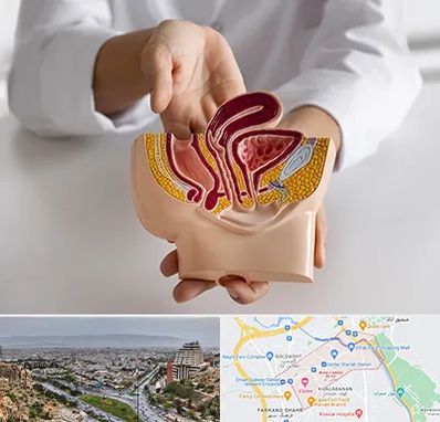 دکتر دستگاه تناسلی مردان در معالی آباد شیراز 