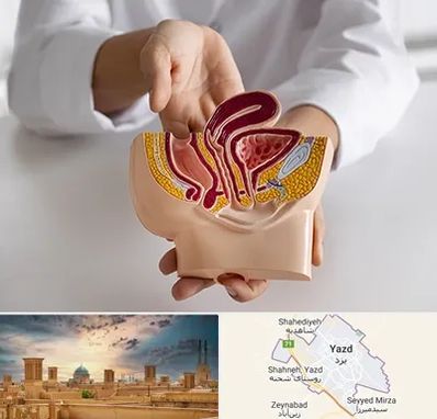 دکتر دستگاه تناسلی مردان در یزد