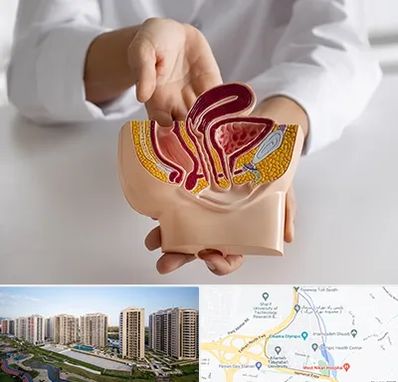 دکتر دستگاه تناسلی مردان در المپیک 