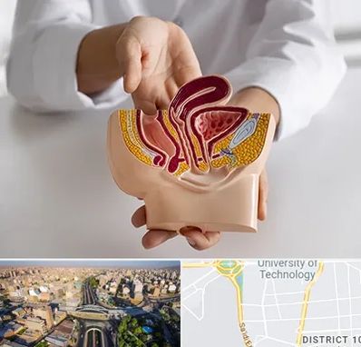 دکتر دستگاه تناسلی مردان در استاد معین 