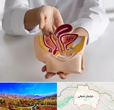 دکتر دستگاه تناسلی مردان در خراسان شمالی