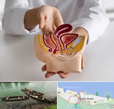 دکتر دستگاه تناسلی مردان در بندر انزلی