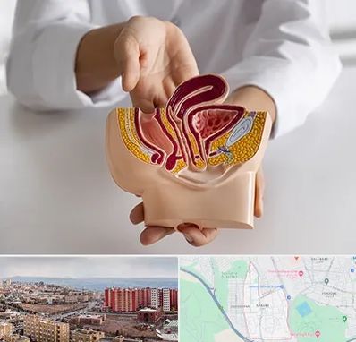 دکتر دستگاه تناسلی مردان در سهند تبریز