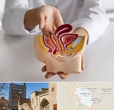 دکتر دستگاه تناسلی مردان در تربت جام