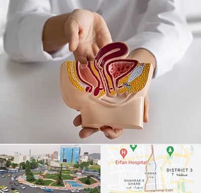 دکتر دستگاه تناسلی مردان در ونک 