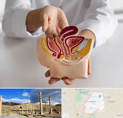 دکتر دستگاه تناسلی مردان در مرودشت