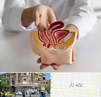 دکتر دستگاه تناسلی مردان در لاله زار