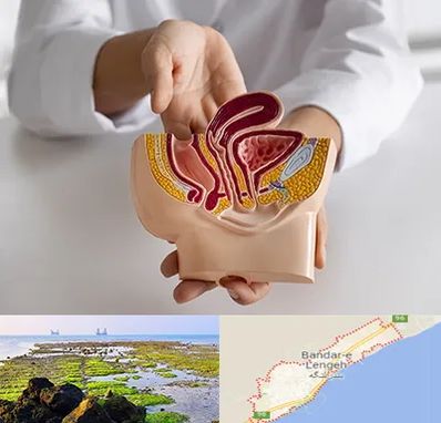 دکتر دستگاه تناسلی مردان در بندرلنگه