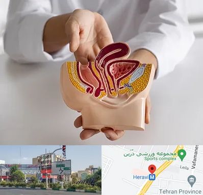 دکتر دستگاه تناسلی مردان در هروی 
