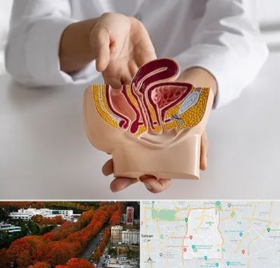 دکتر دستگاه تناسلی مردان در منطقه 6 تهران 