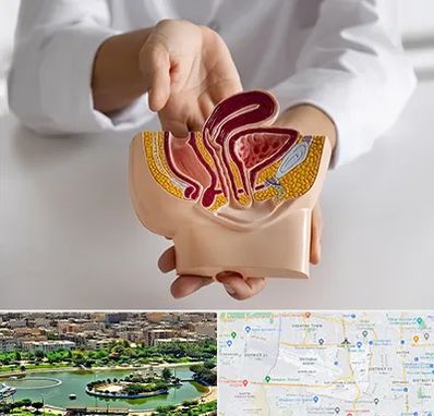 دکتر دستگاه تناسلی مردان در منطقه 9 تهران