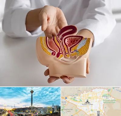 دکتر دستگاه تناسلی مردان در تهران