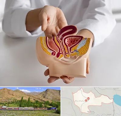 دکتر دستگاه تناسلی مردان در خاش