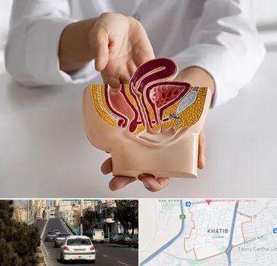 دکتر دستگاه تناسلی مردان در خطیب تبریز