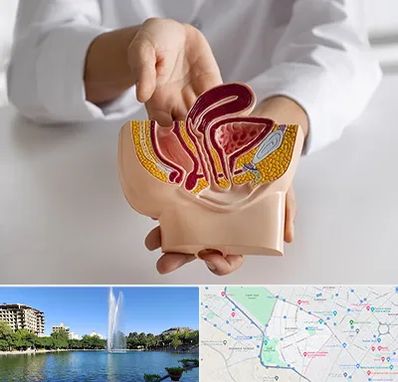 دکتر دستگاه تناسلی مردان در کوهسنگی مشهد 