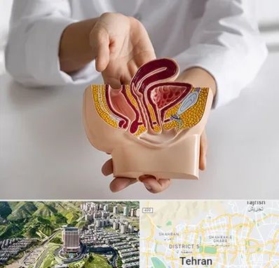 دکتر دستگاه تناسلی مردان در شمال تهران 