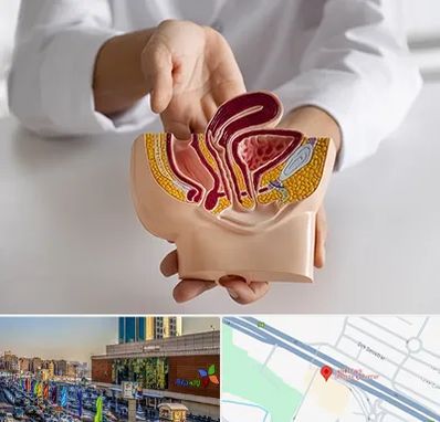 دکتر دستگاه تناسلی مردان در لاله پارک تبریز